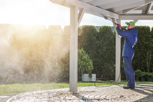 Best Fence Cleaning  in Blasdell, NY