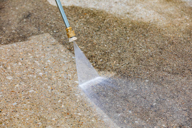 Best Warehouse Cleaning  in Blasdell, NY