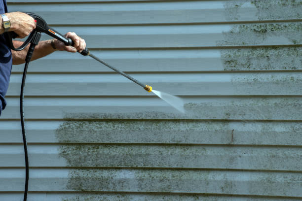 Best Pool Deck Cleaning  in Blasdell, NY